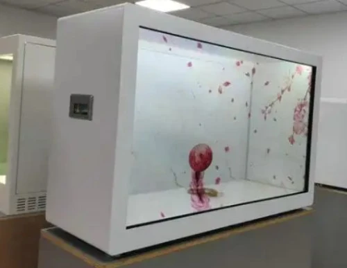 Maaari Mo Bang I-customize ang isang Transparent na LED Screen?